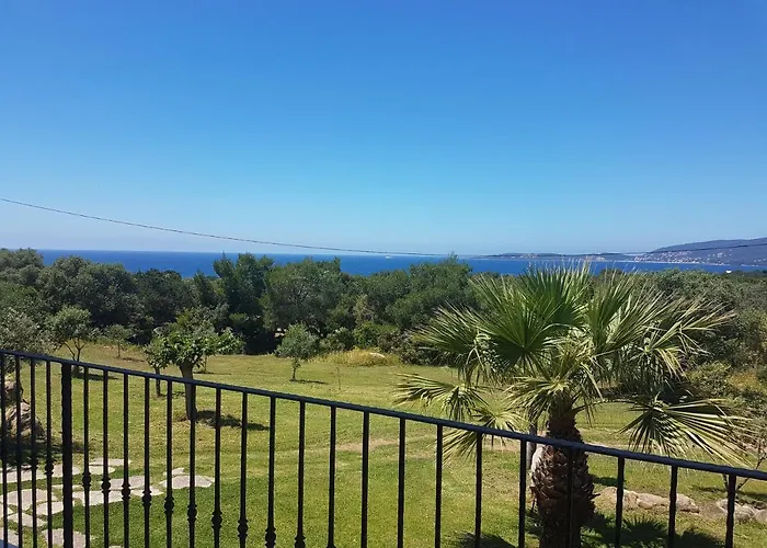 Sci Marie Dominique *