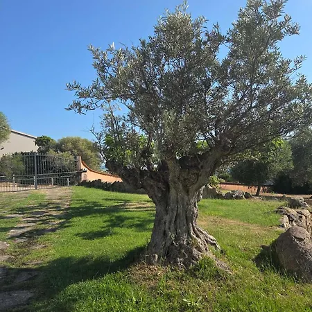 Sci Marie Dominique Feriehus Olmeto (Corsica)